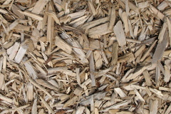 biomass boilers Davidsons Mains